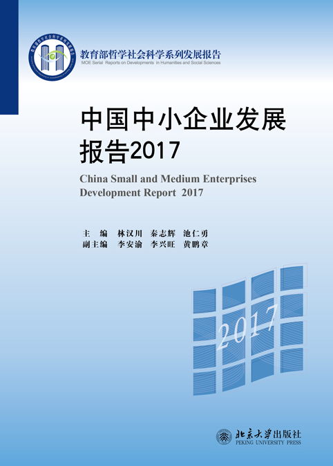 中國中小企業發展報告2017