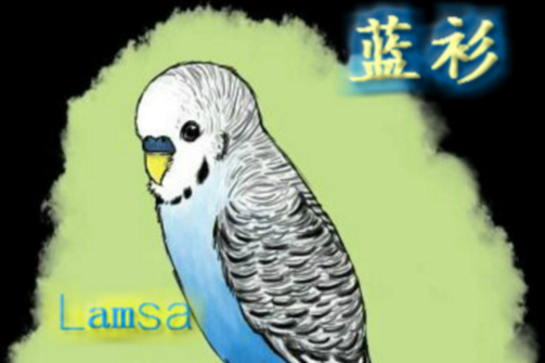 藍衫(Lamsa) 藍衫(Lamsa)