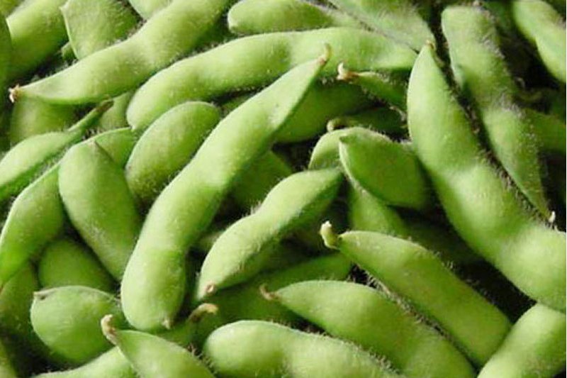 保平毛豆