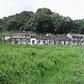 蒲台村 蒲台村