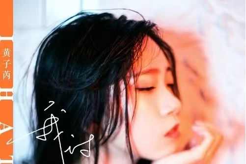 我討厭(黃子芮演唱的歌曲) 我討厭(黃子芮演唱的歌曲)