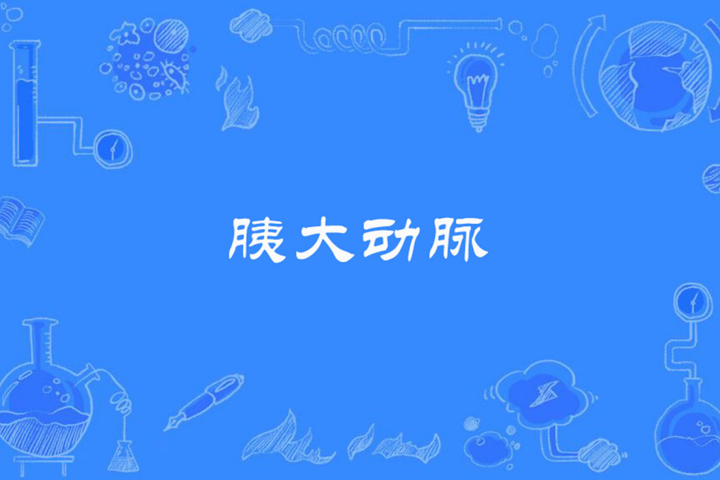 胰大動脈 胰大動脈