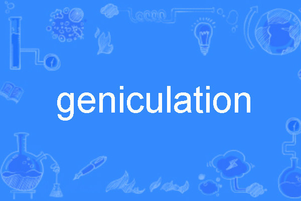geniculation geniculation