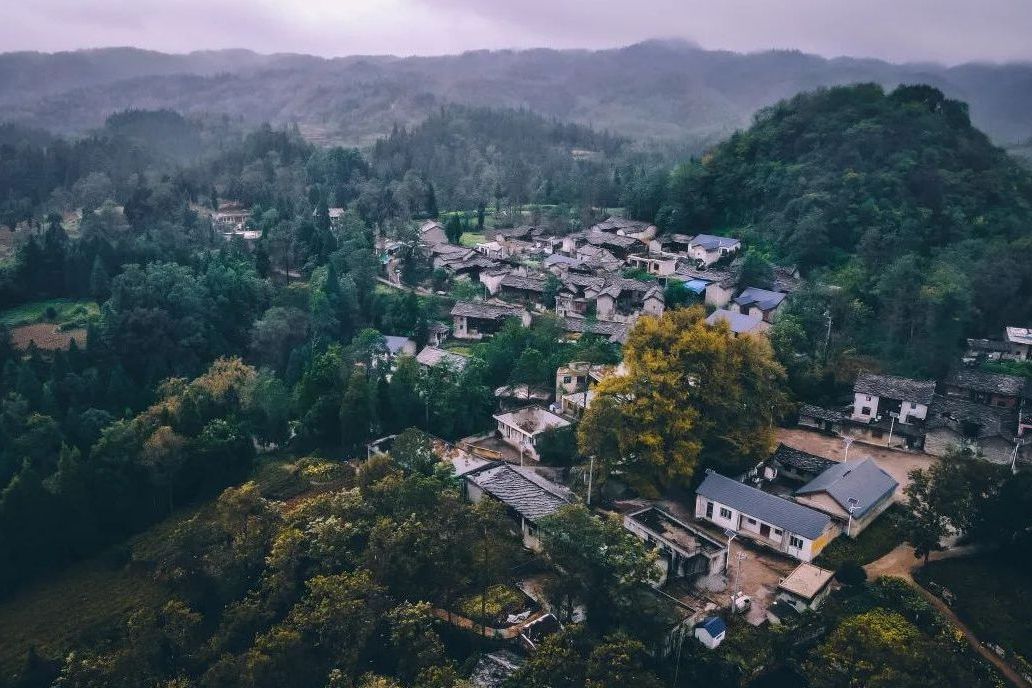 羅大寨村 羅大寨村