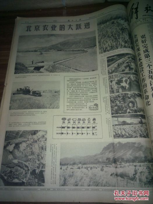 1965年11月25日 1965年11月25日