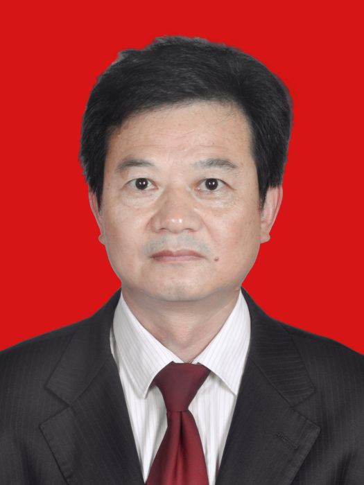 宋華勇(河南省南陽市西峽縣應急管理局黨組成員、副主任科員) 宋華勇(河南省南陽市西峽縣應急管理局黨組成員、副主任科員)