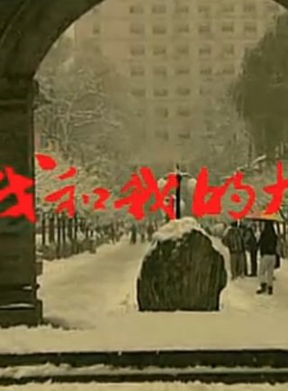 楊倩(中國內地女演員)