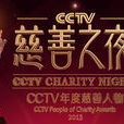 2013CCTV慈善之夜