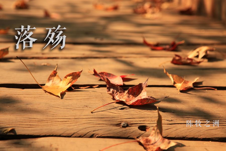 落殤(陳牧之洲的舊體詩作品) 落殤(陳牧之洲的舊體詩作品)