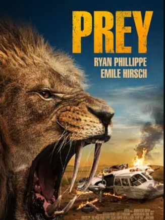 瑞安·菲利普(Ryan Phillippe) 瑞安·菲利普(Ryan Phillippe)