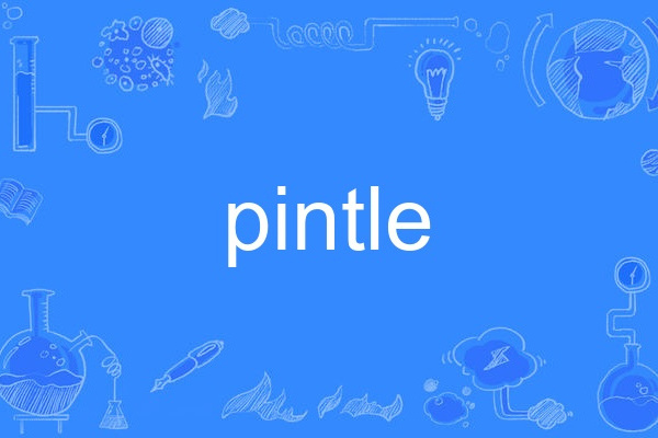 pintle pintle