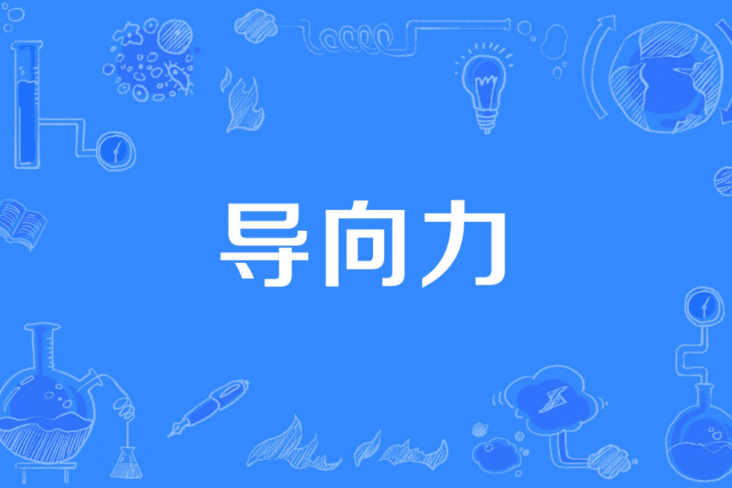 導向力 導向力