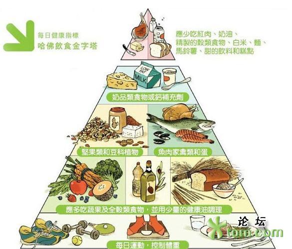 食物金字塔