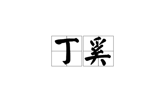 丁奚 丁奚