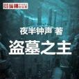 盜墓之主 盜墓之主