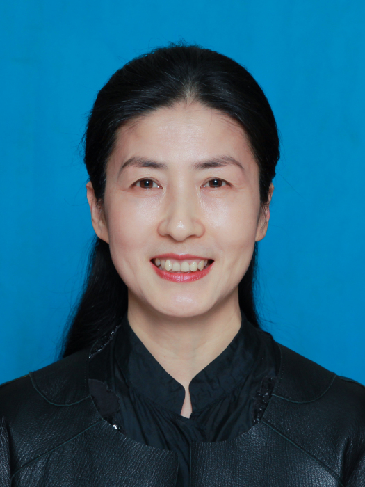 江靜(安徽省審計廳副廳長) 江靜(安徽省審計廳副廳長)
