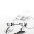 我是一棵菜 我是一棵菜