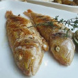 let\x27s SEAFOOD let\x27s SEAFOOD