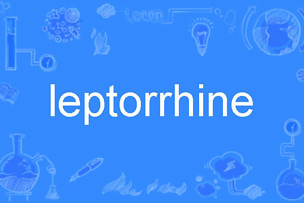 leptorrhine leptorrhine