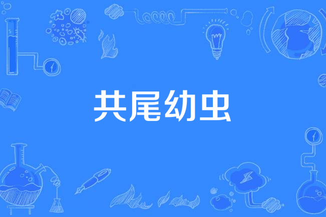 共尾幼蟲
