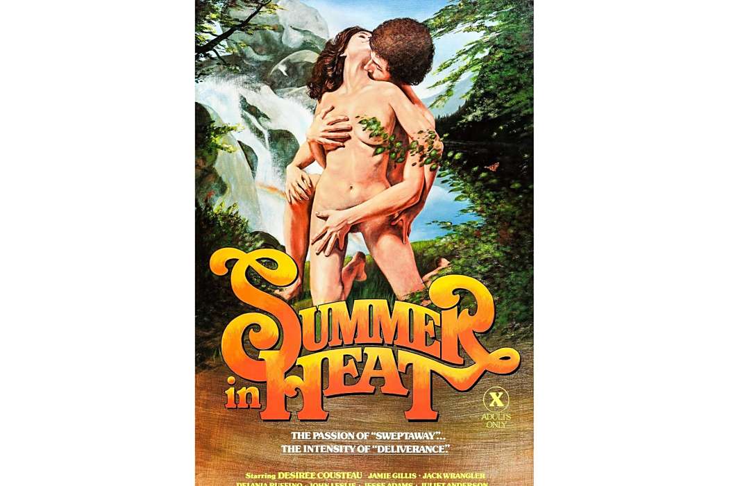 夏日激情(1979年美國電影) 夏日激情(1979年美國電影)
