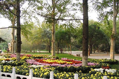 槐蔭園 槐蔭園