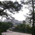 豐臺實驗學校 豐臺實驗學校
