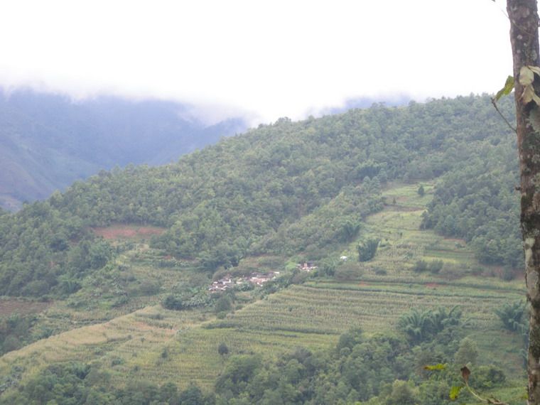 老康寨村 老康寨村
