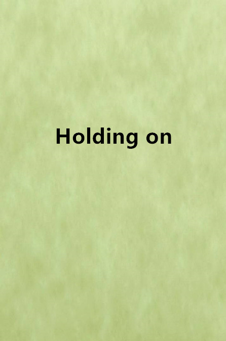 Holding on(八千里路小說)