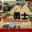 勇士(花山文藝出版社出版圖書)