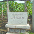 冮官屯窯址 冮官屯窯址