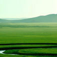 呼倫貝爾草原(內蒙古自治區呼倫貝爾市草原)