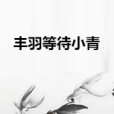 豐羽等待小青