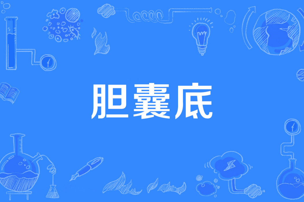 膽囊底