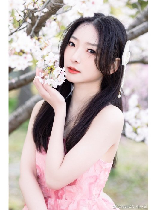 劉小涵 劉小涵
