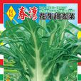 春灣花芽 春灣花芽