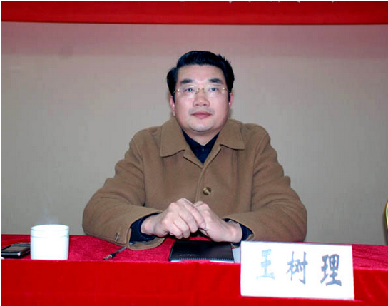 王樹理(廬江縣人民政府副縣長) 王樹理(廬江縣人民政府副縣長)