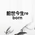 前世今生reborn 前世今生reborn