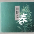 田野之春