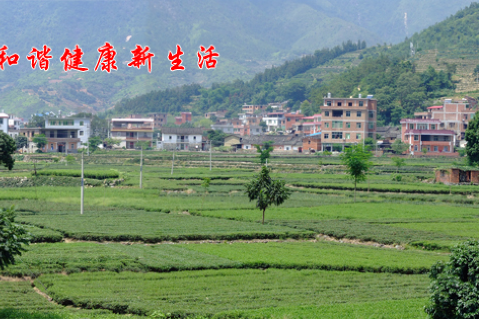 華芸村 華芸村