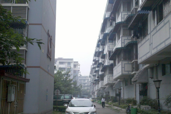 楊柳新屯 楊柳新屯