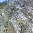 片麻岩 片麻岩