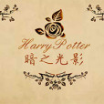 暗之光影 暗之光影