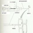 襯質勢 襯質勢