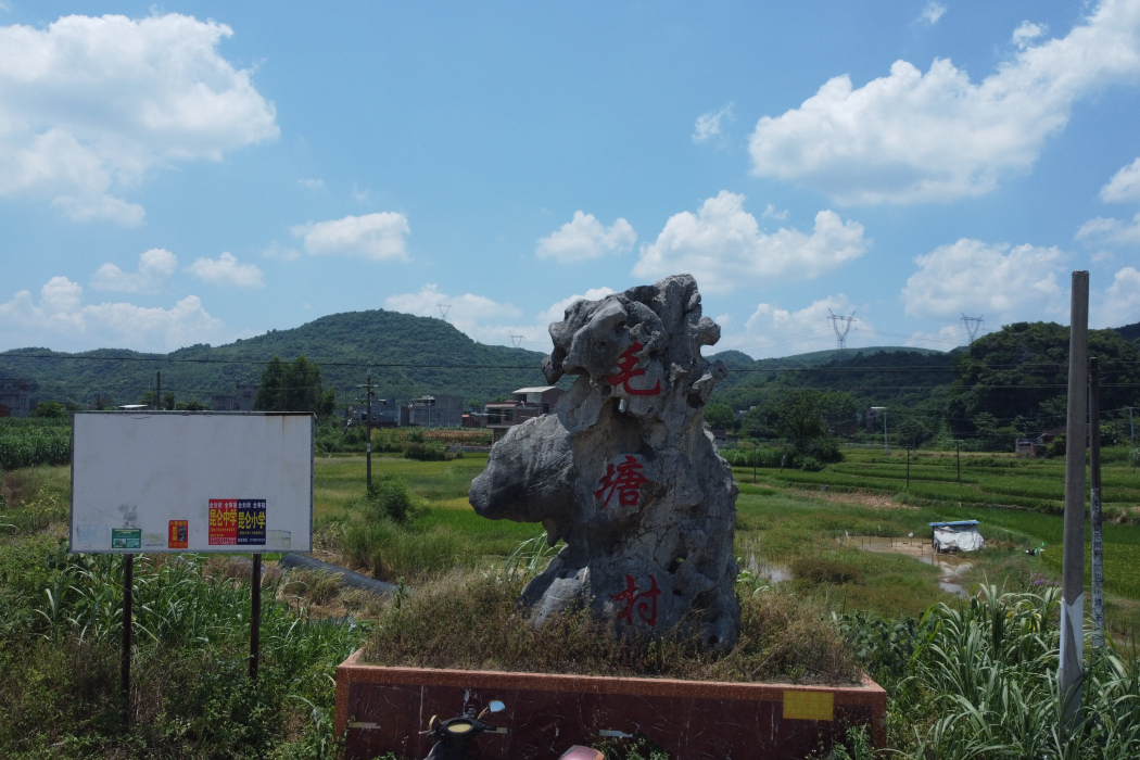 毛塘村(廣西壯族自治區來賓市興賓區橋鞏鎮下轄村) 毛塘村(廣西壯族自治區來賓市興賓區橋鞏鎮下轄村)