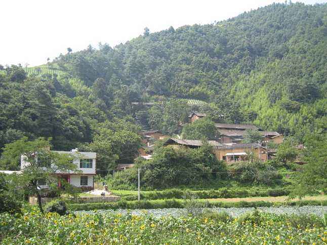 沙河村(雲南省玉溪市紅塔區沙河村) 沙河村(雲南省玉溪市紅塔區沙河村)
