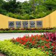 磨碟沙公園 磨碟沙公園