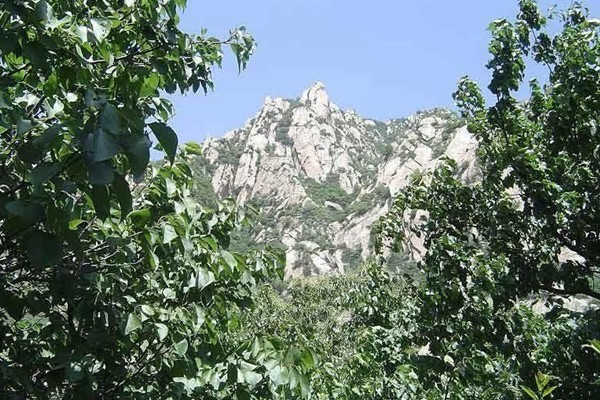 磷龍山 磷龍山