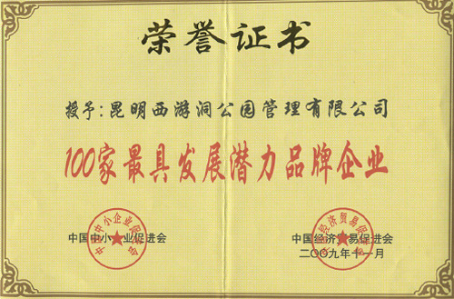 2009年中國旅遊行業最佳管理實踐案例獎