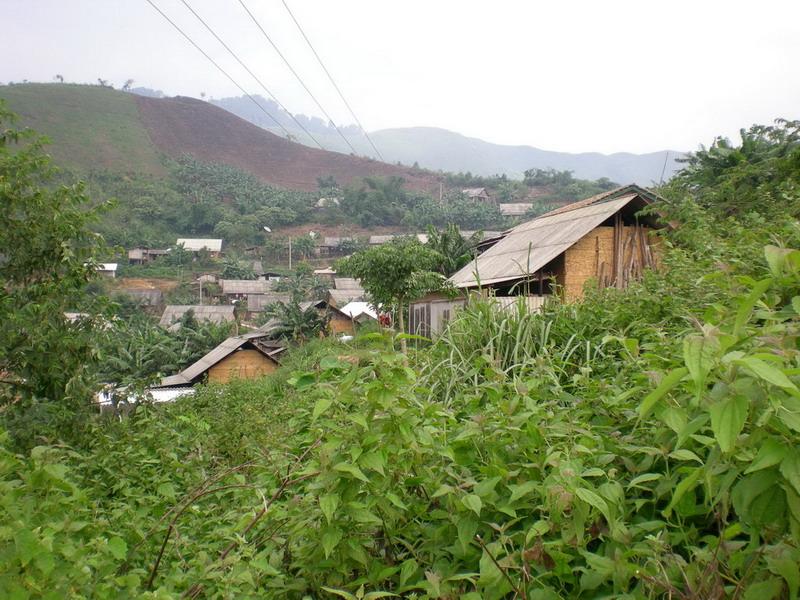 桂良村